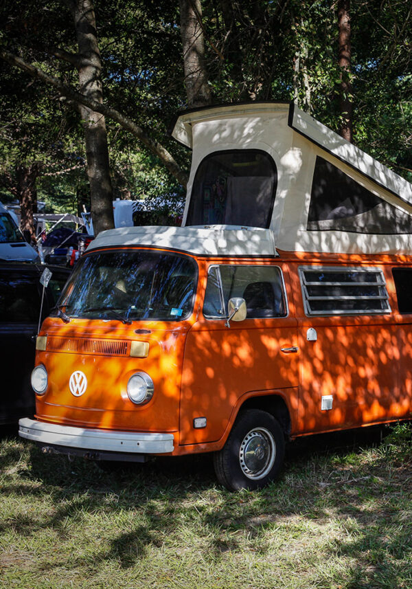 Camping, RVs & VIPs - Albino Skunk Music Festival