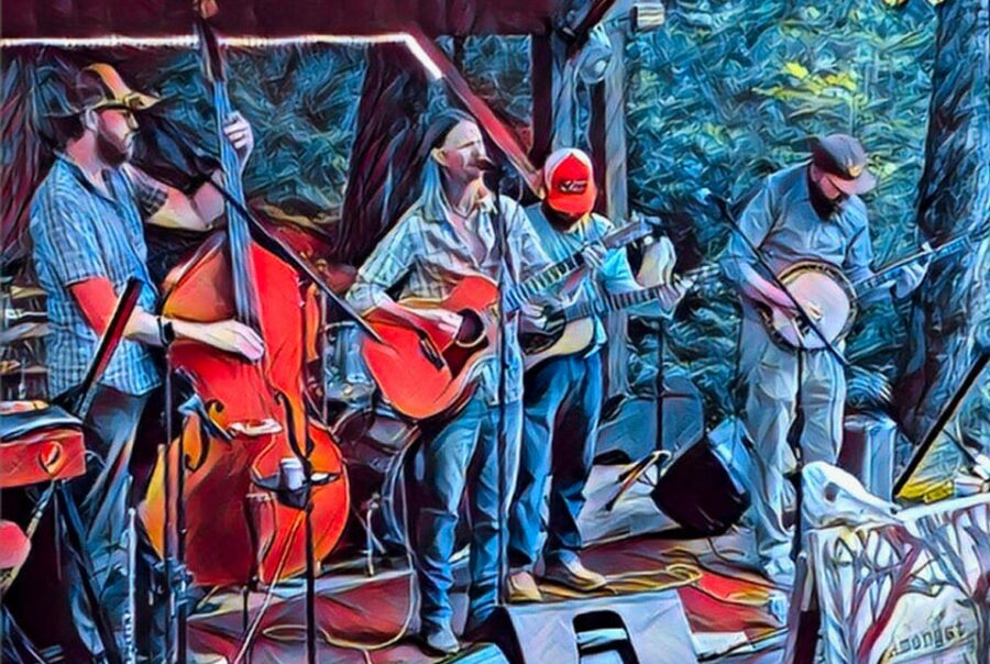 Lineup Albino Skunk Music Festival