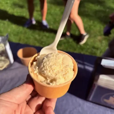 4-5 different flavors of ice cream in multiple sizes